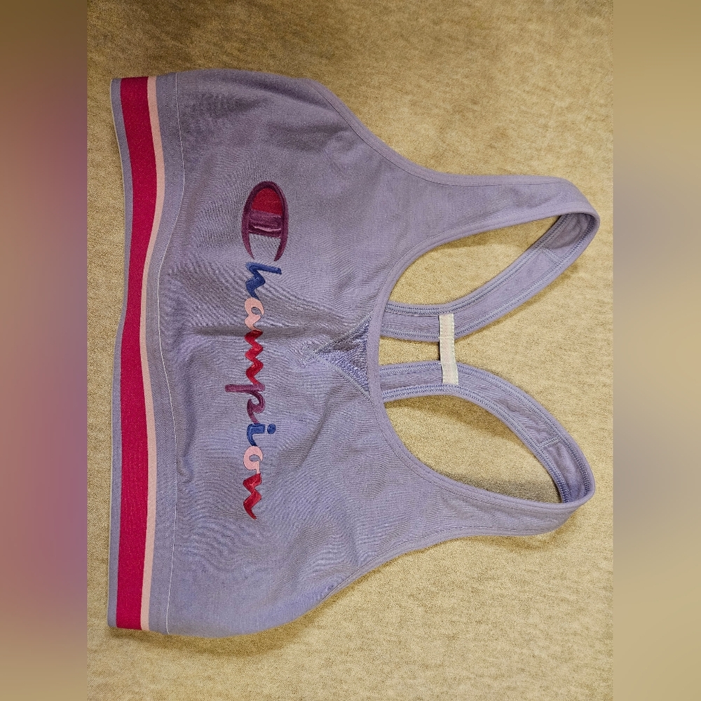 Champion Women's Purple Sports Bra